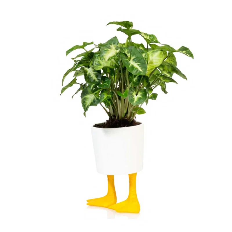 eco friendly duck feet flower pot small size