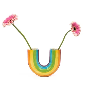 rainbow vase for home decor