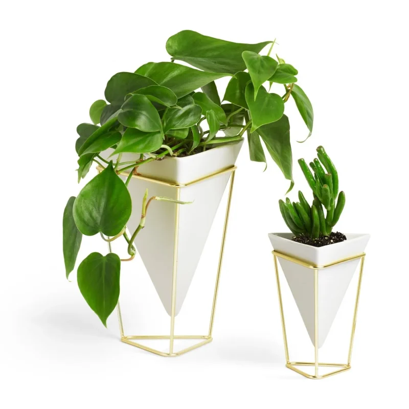 umbra trigg tabletop vessel modern decor solution