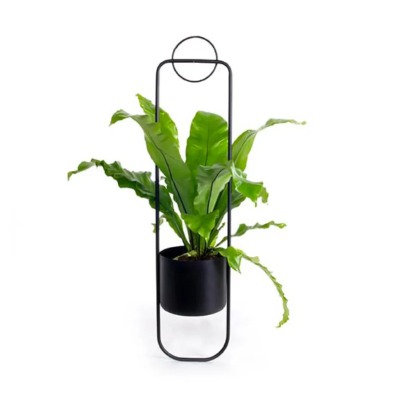 xl black boom sonar planter seo optimized